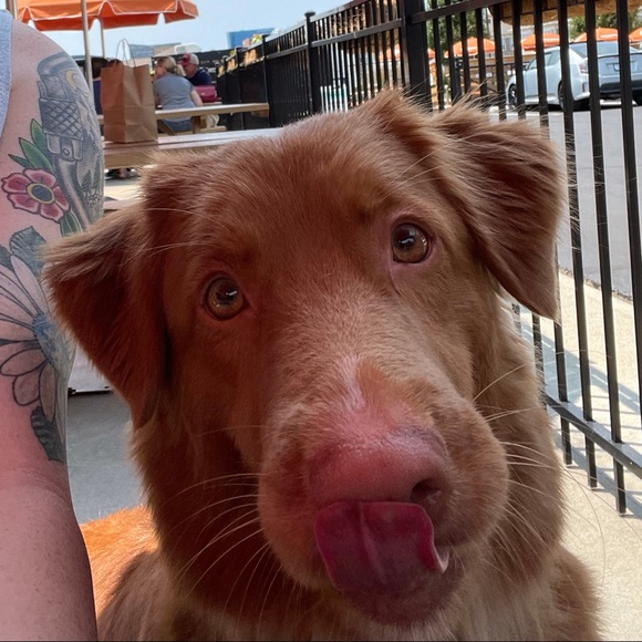 Meet your Posher, Ellen - Picture 1 of 1